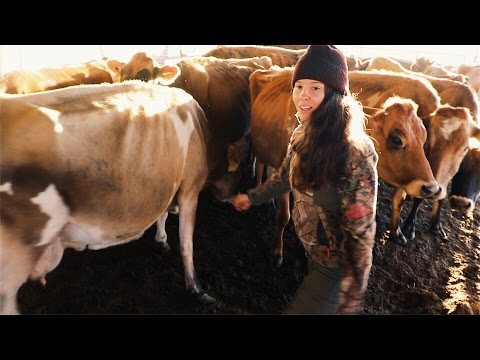 the Dairy Cows at Full Circle Farm Video