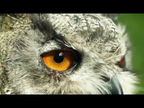 Novi RAV4 - Inovacije