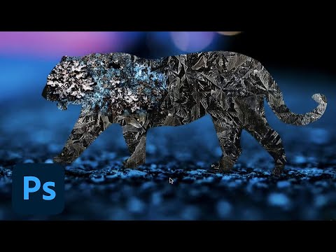 Holistic Branding with Mary Rauzi - 1 of 2 | Adobe Creative Cloud