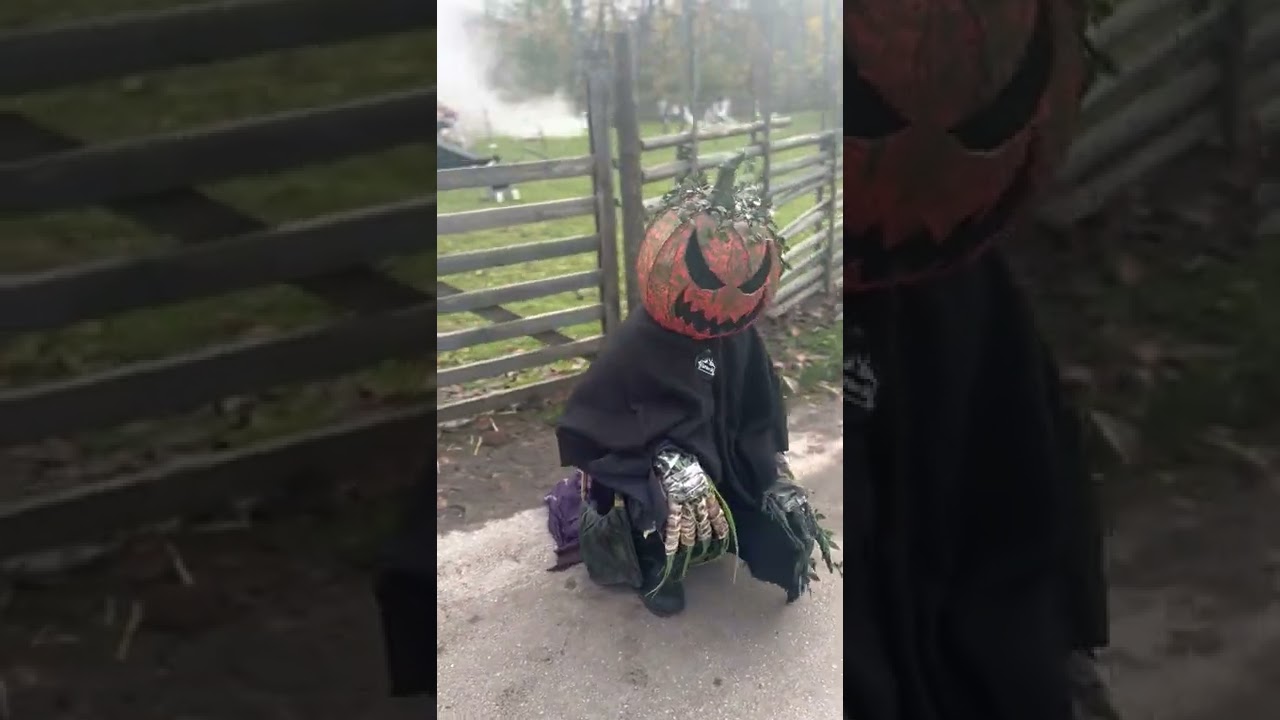Pumpkin monster costume 2022
