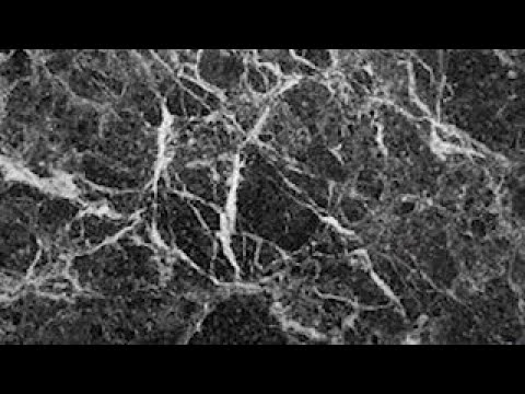 Shooting in Surprise, AZ