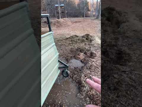 Pig Tractor: Before & After Permaculture Transformation