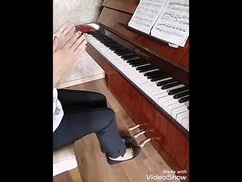 Pedallar haqqında məlumat.Dərs 2