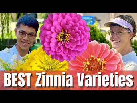 🪷BEST Rated ZINNIA Varieties 🌸 | BEST & WORST Picks with Cranery Garden! | She’s A Mad Gardener