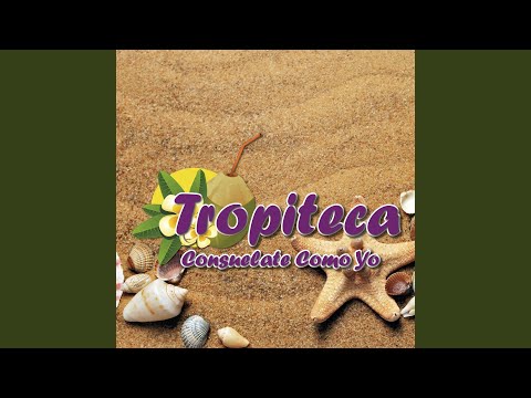 Yo Soy el Son Cubano