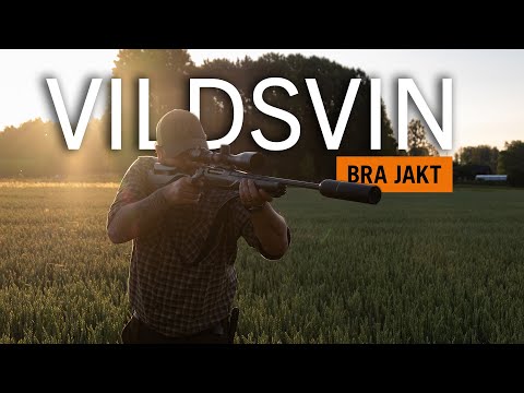 VILDSVINSJAKT I SPANNMÅLEN - Med Daniel da Silva! | BRA JAKT