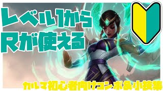 カルマ初心者向けコンボ&小技集【リーグオブレジェンド】