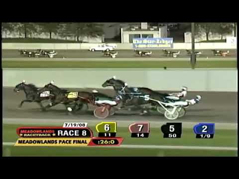 Harness Racings greatest horses of all time old and new