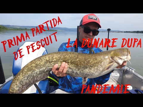 Spinning la Dunare Bazias