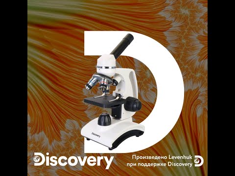 Миниатюра изображения товара Микроскоп цифровой Levenhuk Discovery Femto Polar с книгой / D77986 