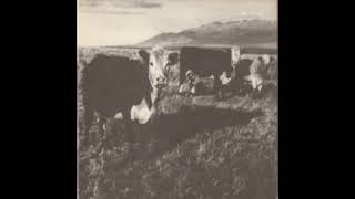 The Finally LP - Mark Kozelek (2008) Full Album