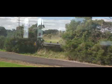Craziest horn salute ever! I catch the train to Hastings & film! Doodlebug Australia!