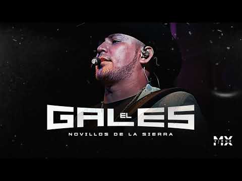 El Gales - Novillos De La Sierra (Audio) 2025