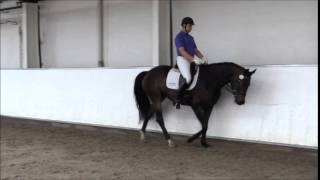 Video of Fürstin Doro