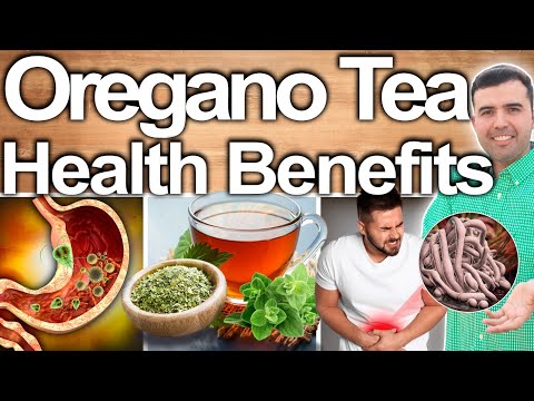 OREGANO TEA EVERY DAY! - HEALTH BENEFITS, Best Ways To Take, Uses, Side Effects And Contraindication