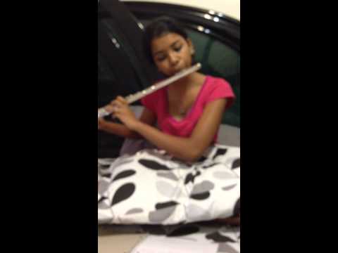 Fall Out Boy- My Song Know What You Did In The Dark(light em up)- Flute cover by Windy Lawrence