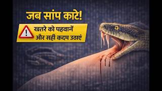 When a Snake Bites: Recognising Danger and Acting Right