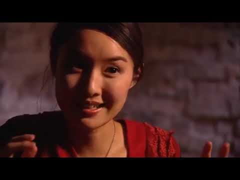 Alice Pung – Unpolished Gem – Authorial Intent