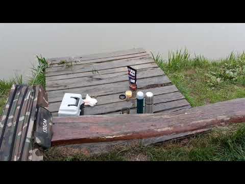 2 października 2019