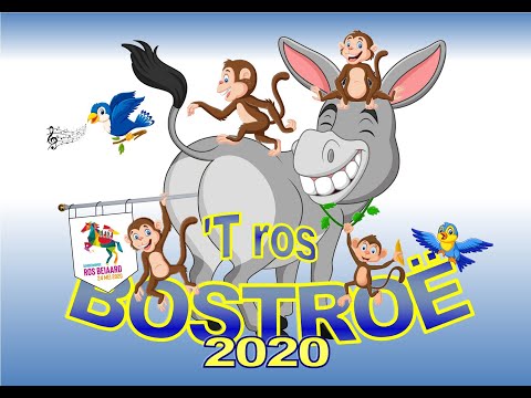 IN DEIREMONNE KOMMEN ZE NI BOITEN -Stoetlied BKV de schoimloëpers 2020