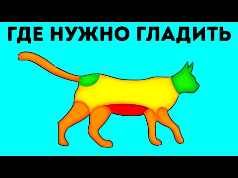 100+ фактов, о которых мало кто слышал