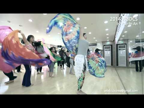 2014 World bellydance competition in Seoul
