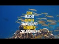 Ägypten 2017 - Mein 200er Tauchgang, ägypten, rotes meer, marsa alam, blue submarine diving center, gemma resort, Blue Submarine Diving Center, Gemma Resort, Marsa Alam, Ägypten, Marsa Alam und südlich