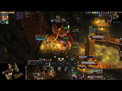 Kings' Rest 26 (Holy Paladin)