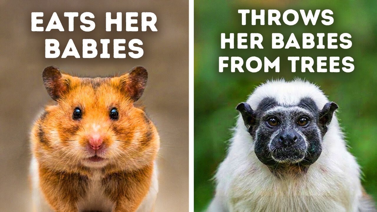 Animals That Are Shockingly Bad Parents