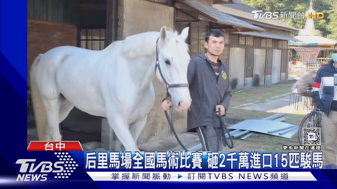 后里馬場全國馬術比賽! 砸2千萬進口15匹駿馬