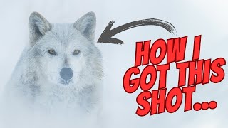 Better Wildlife images with Filters | Freewell K2 Magnetic System