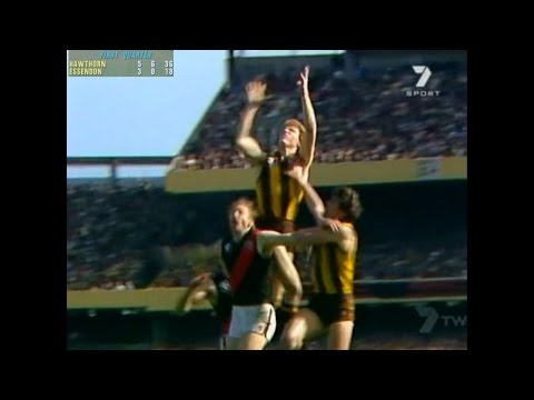 VFL 1983 Grand Final Hawthorn Vs Essendon