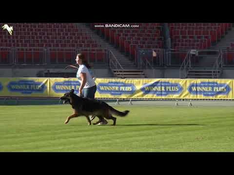 1047 Ultravox von Arlett - TSB BSZS-2023