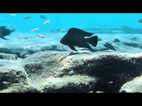 Baia di Ndole - a pochi metri in acqua