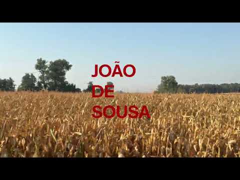 João de Sousa - Milho Verde (The Train Clip)