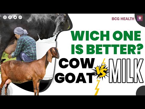 Goat Milk VS Cow Milk And Health Benefits