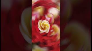 Download lagu Let’s go Bali to make your good memories  Puri Raja Hotel #shorts #bali mp3