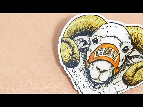 Product video