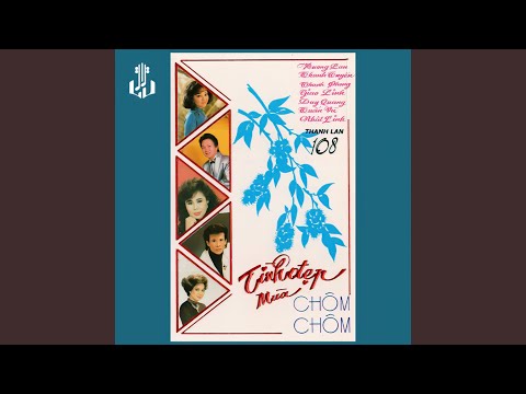 KỶ NIỆM MỘT MÙA HÈ