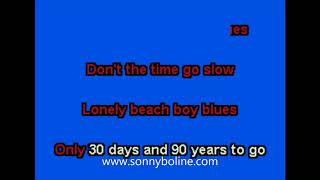 BEACH BOY BLUES