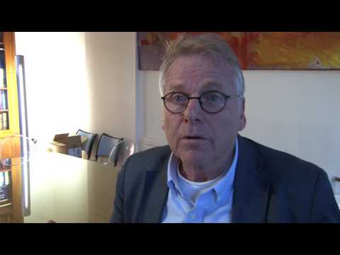 Daniel Cohn-Bendit : "J'ai toujours énervé les gens"