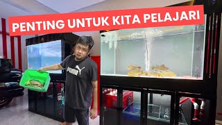 PEMBEAJARAN BERHARGA DALAM MELAKUKAN PEMELIHARAAN IKAN - JANGAN SAMPAI TERJADI DULU BARU BELAJAR