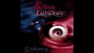 Steve Lukather   Extinction Blues