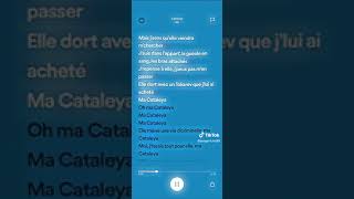 Cataleya - RK ( speed up )