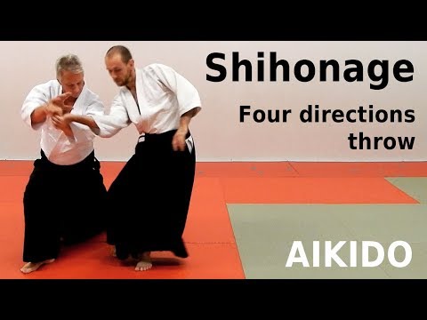 Aikido technique SHIHONAGE on basic attacks, by Stefan Stenudd
