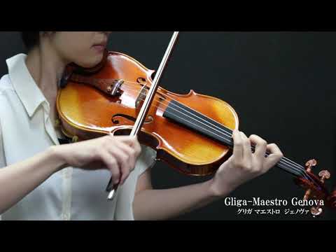 【楽器試奏動画】Gliga Maestro Genova Violin