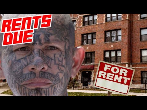  Now Illegal Alien Venezuelan Gangs Taking Over Chicago Apartments 