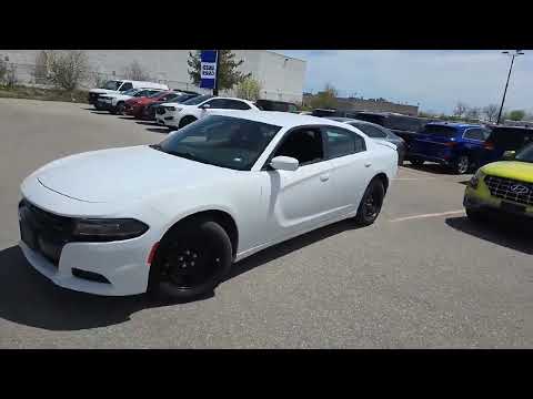 2020 Dodge Charger in White for sale at Kitchener Chrysler Dodge Jeep Ram in Kitchener, ON