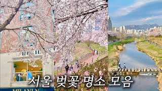 [지하철 여행] 나만 알고 싶은 ”서울 벚꽃 명소 BEST 6" 🌸 여의도 말고 서울 서쪽 벚꽃 명소 모아봤어요!