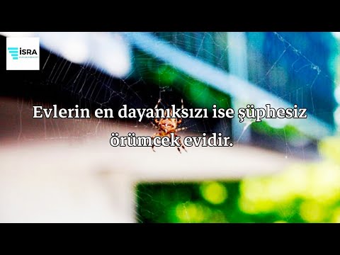 Ankebut Suresi - Ahmed Khedr